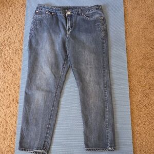 Christopher & Banks Blue Skinny Jeans
